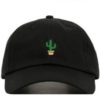 Cactus Dad Hat